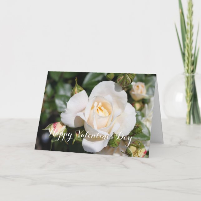 All occasion white rose, add your photo, text holiday card (Front)