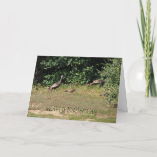 All Of Us Turkeys, Birthday Card