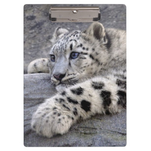 All Played Out Clipboard