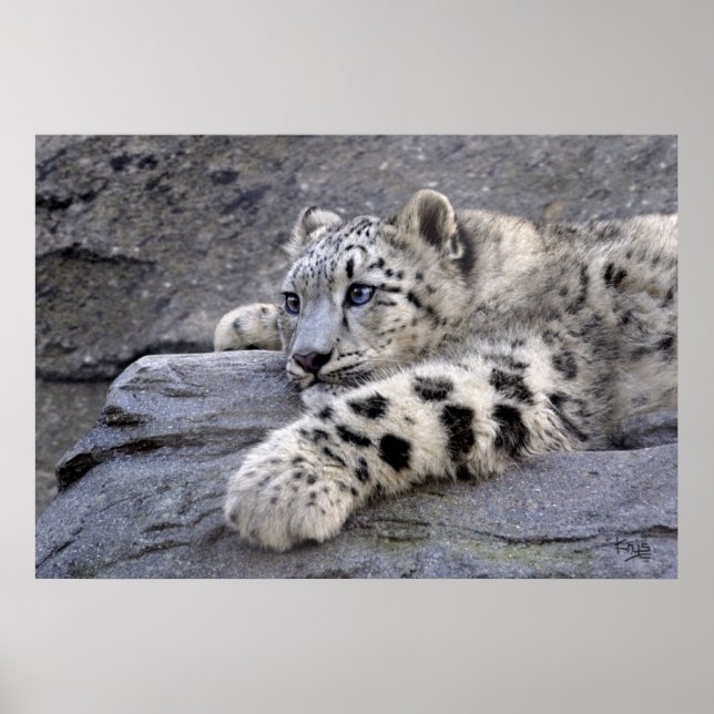 All Played Out Print (Front)