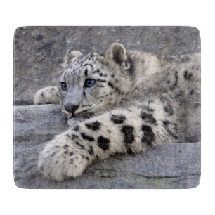 All Played Out Rectangular Glass Cutting Board