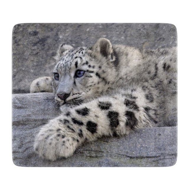 All Played Out Rectangular Glass Cutting Board (Front)