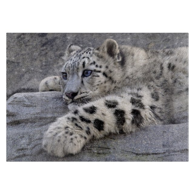 All Played Out Rectangular Glass Cutting Board (Front)