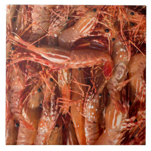 All Prawn and No Brain Ceramic Tile