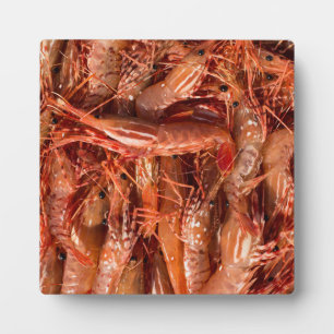 All Prawn and No Brain Plaque