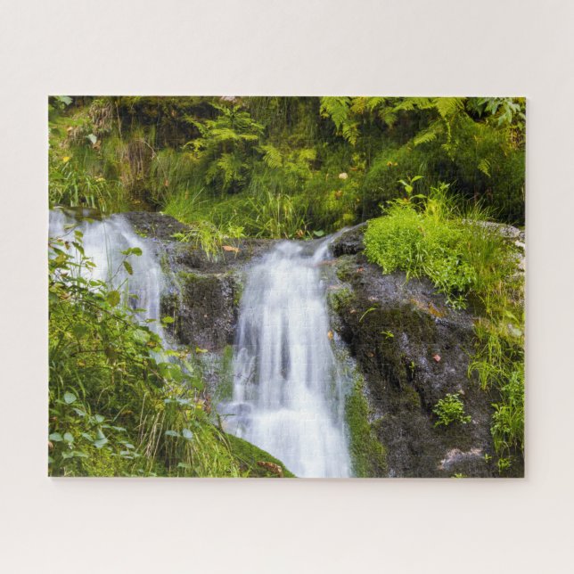 All Saints Waterfall Black Forest Germany. Jigsaw Puzzle (Horizontal)