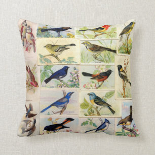 All Sorts of Birds Cushion