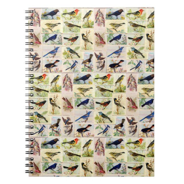 All Sorts of Birds Notebook (Front)