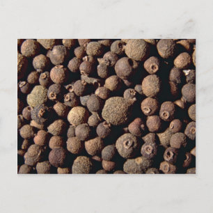 All spice postcard
