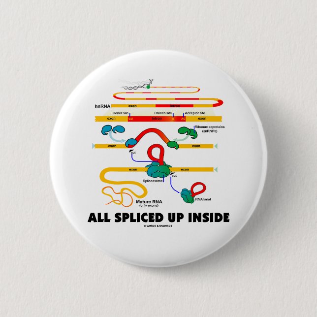 All Spliced Up Inside (RNA Splicing) 6 Cm Round Badge (Front)