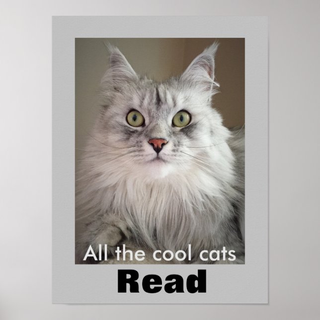 All the Cool Cats Read (Literacy Poster) Poster (Front)