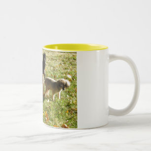 All the dogs Sept 2006 001 Two-Tone Coffee Mug