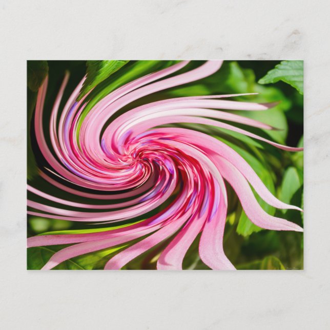 All Twisted Up Postcard (Front)