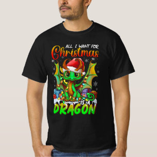 All Want for Christmas is A Dragons Santa Hat Anim T-Shirt