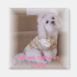 All we need is Love! Magnet