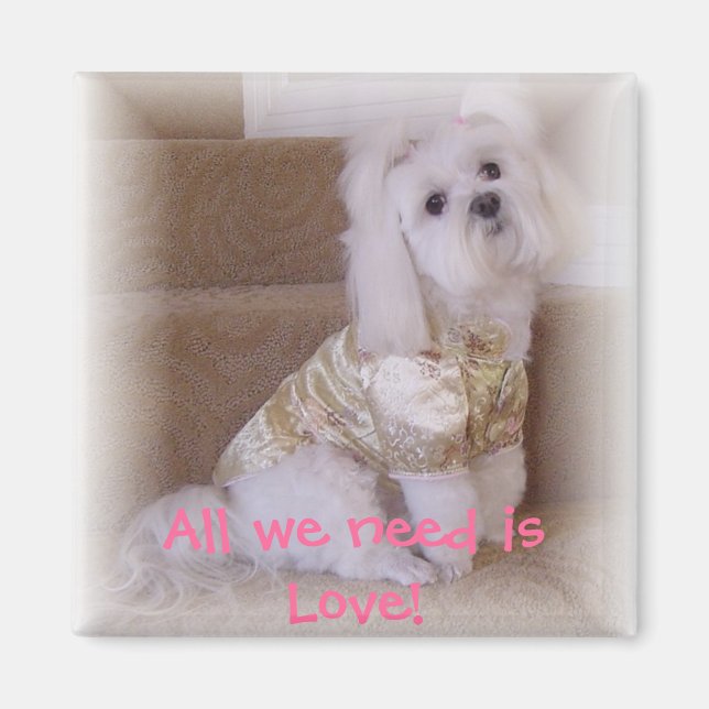 All we need is Love! Magnet (Front)