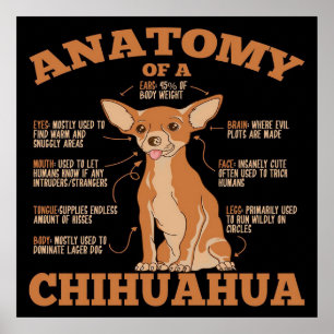 All You Need   Chihuahua Dog   Chihuahua Lover Poster