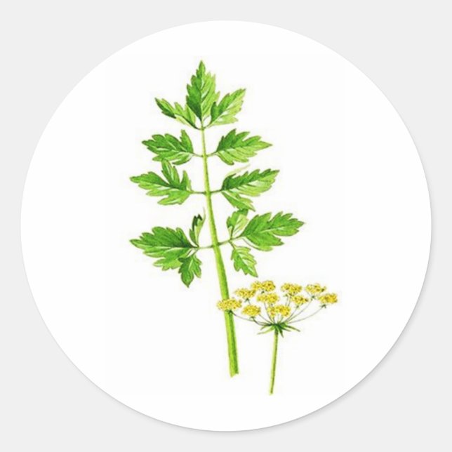 All you need is Lovage Classic Round Sticker (Front)