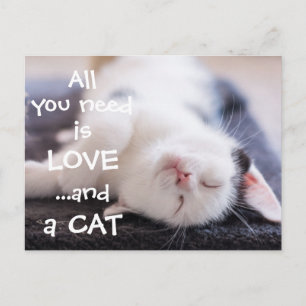 All you need is love...and a cat // kitten postcard