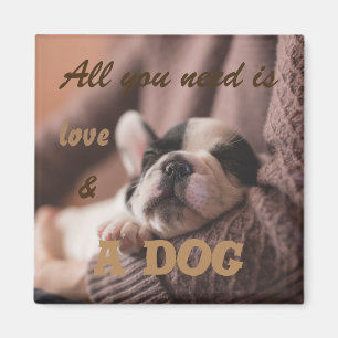 All you need is love and a dog magnet