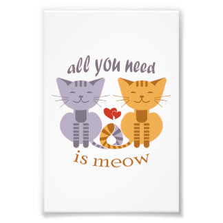All you need is meow Valentine cats Photo Print