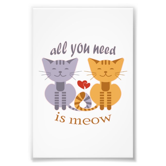 All you need is meow Valentine cats Photo Print (Front)