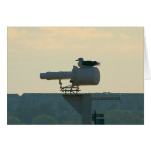 All your Base are Belong to Us