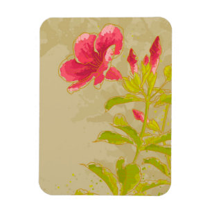 Allamanda Flower On Toned Background Magnet