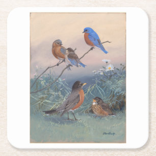 Allan Brooks Birds no1 Square Paper Coaster