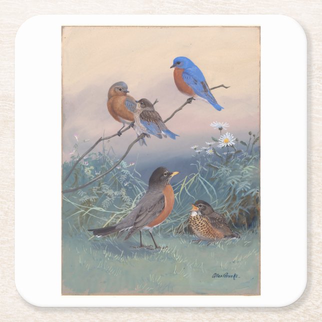 Allan Brooks Birds no1 Square Paper Coaster (Front)
