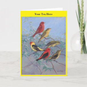 Allan Brooks Birds no3 Thank You Card