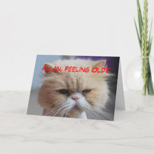 Allan Brother Birthday Persian Cat Humour Card