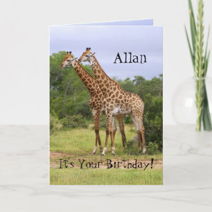 Allan "Go Wild" Happy Birthday Giraffes Card
