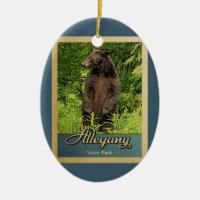Allegany State Park Vintage Travel Bear