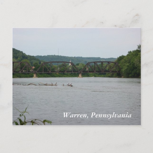 Allegheny River in Warren, PA (postcard) Postcard (Front)