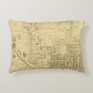 Allegheny ward 2 decorative cushion
