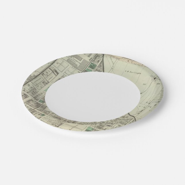 Allegheny ward 6 paper plate (Angled)