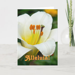 "ALLELUIA" / WHITE LILY EASTER CARD