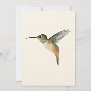 Allen's Hummingbird Flat Greeting Card