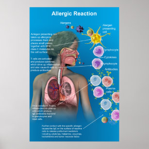 Allergic Reaction poster