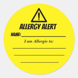 Allergy Alert Stickers for Daycare, Sunday School