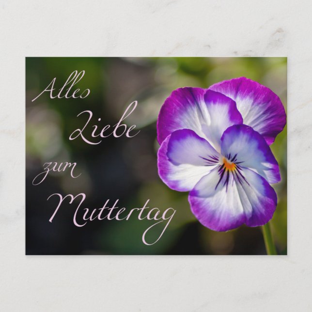 Alles Liebe zum Muttertag Postcard (Front)