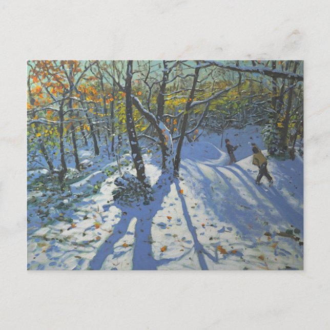 Allestree Park Woods November 2010 Postcard (Front)