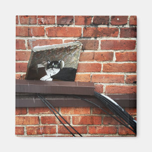 alley cat art magnet
