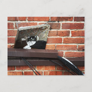 alley cat art postcard