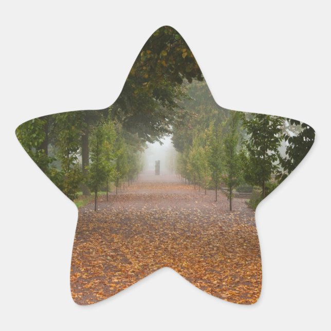 Alley in fog star sticker (Front)