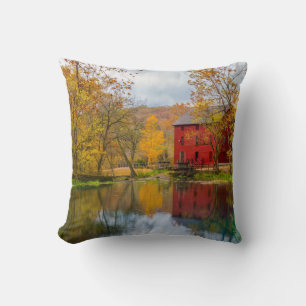 Alley Mill And Spring Cushion