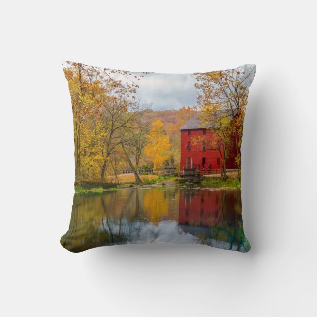 Alley Mill And Spring Cushion (Front)