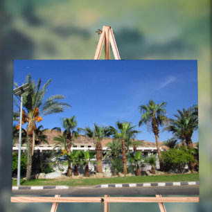 Alley of date palms acrylic sign