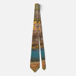 Alley Spring View Neck Tie